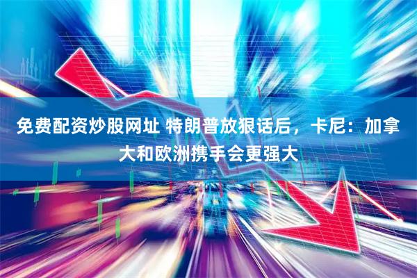 免费配资炒股网址 特朗普放狠话后,卡尼:加拿大和欧洲携手会更强大